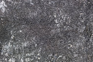 İnce desenli ve beyaz noktalı gri yüzey. Tasarım için soyut nötr arkaplan.