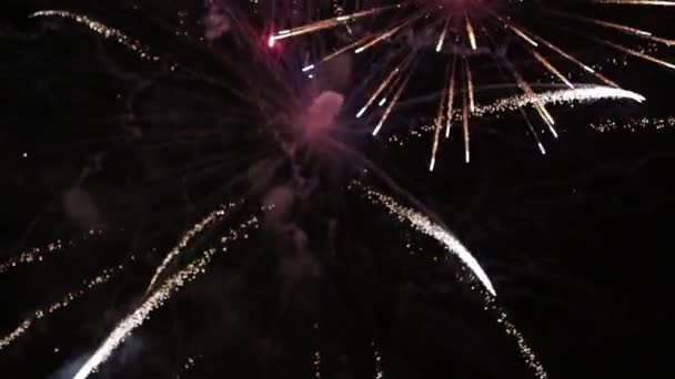 Farbenfrohes Festfeuerwerk am dunklen Himmel. — Stockvideo