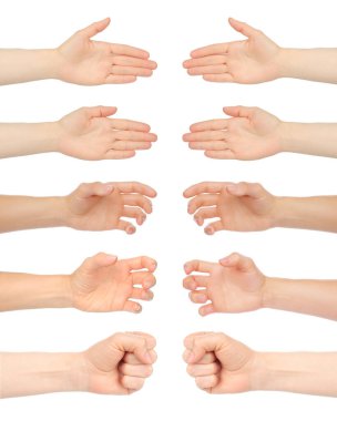 El hareketlerinden el sıkışmaya, şeffaf bir arkaplanda izole. Tasarım, sunum ve yaratıcı projeler için mükemmel