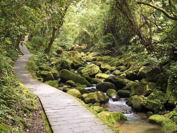 Stream Da Gou Xi genom mossiga stenar i skogen — Stockfoto