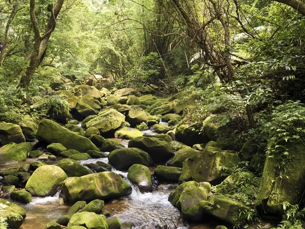 Da Gou Xi streamen via mossy stenen in bos — Stockfoto