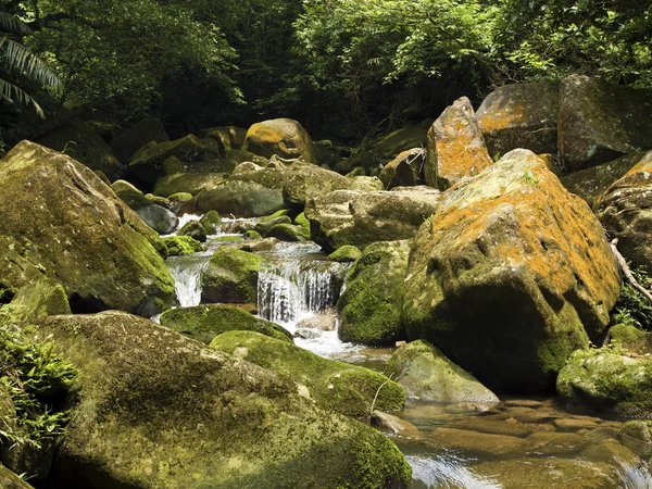 Da Gou Xi streamen via mossy stenen in bos — Stockfoto