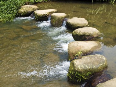 Nehrin karşısındaki kayalık Stepping Stones