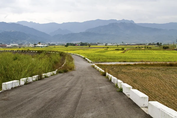 Country road — Stock Photo, Image