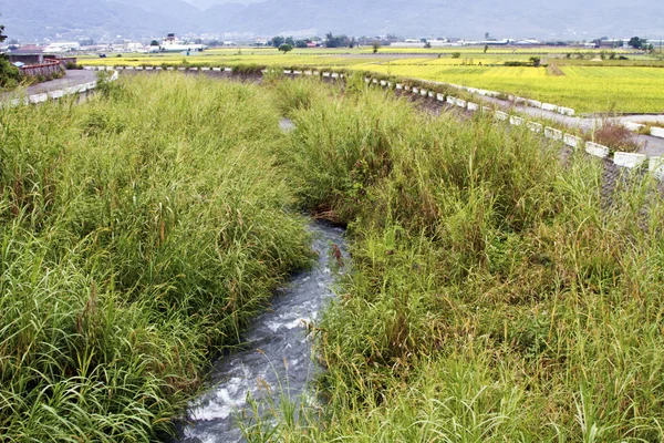 Wasser der Bewässerung im Kanal — Stockfoto