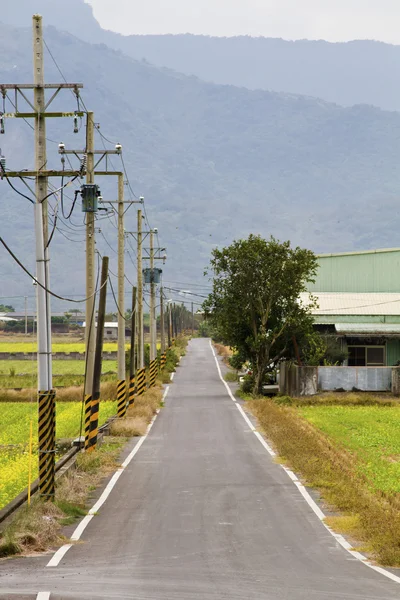 Country road — Stock Photo, Image