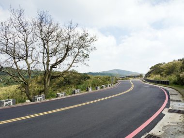 Kış raod kel ağacı