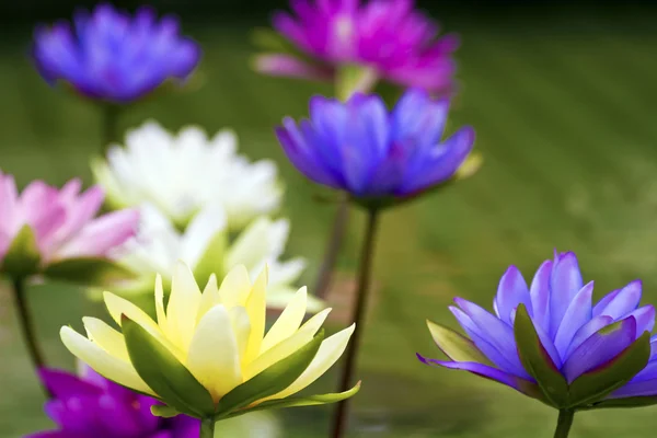 Plastic colorful decoration lotus in pond,Taipei — Stock Photo, Image