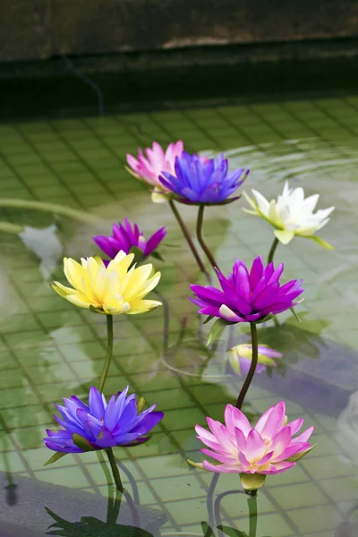 stock image plastic colorful decoration lotus in pond,Taipei