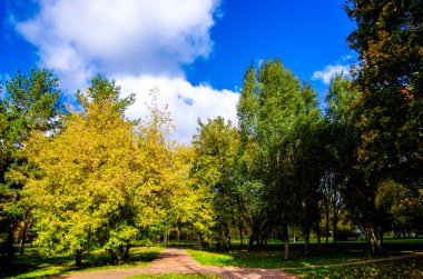 Büyük şehirde sonbahar