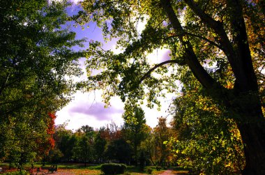 Büyük şehirde sonbahar