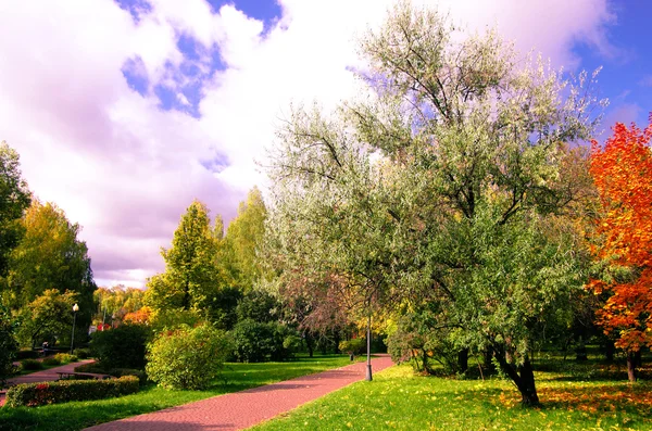 Herfst in grote stad — Stockfoto