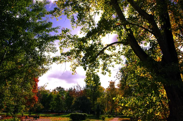 Otoño en la gran ciudad — Foto de Stock