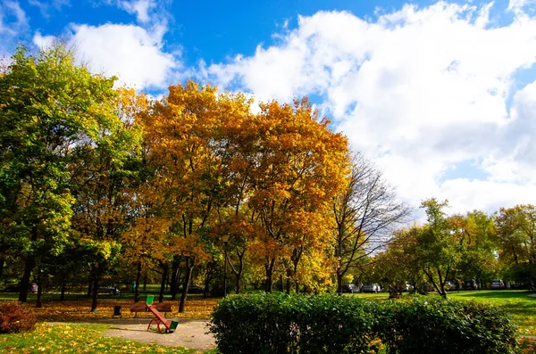 Herfst in grote stad — Stockfoto