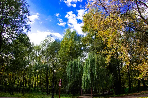 Autunno in città — Foto Stock