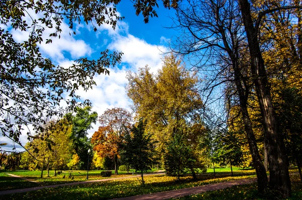 Herfst in stad — Stockfoto