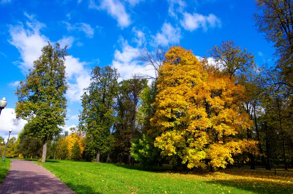 Otoño en la ciudad — Foto de Stock