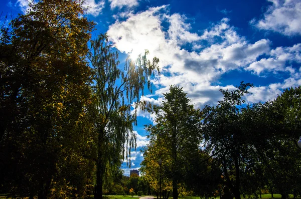 Autunno in città — Foto Stock