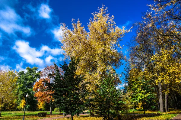 Autunno in città Fotografia Stock