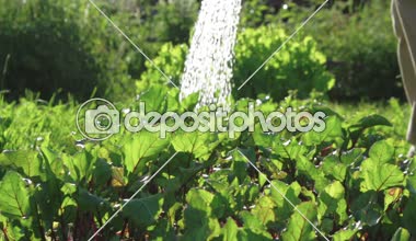 Bahçe Sulama Tesisleri