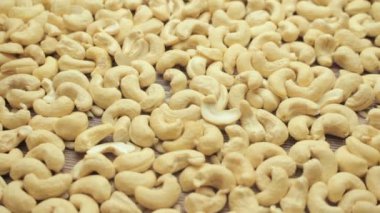 Fındık arka plan, kaju, döndürme