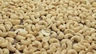 Fındık arka plan, döndürme