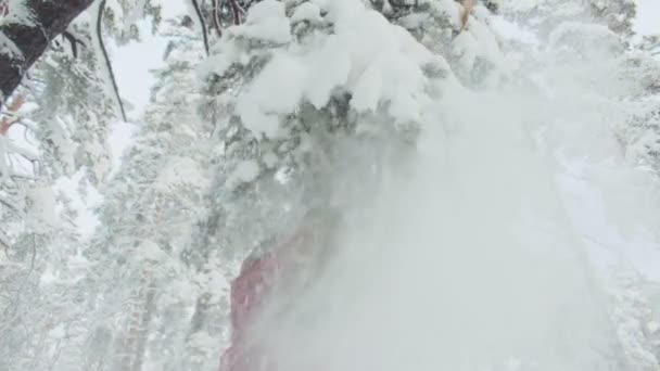Agitando ramos nevados câmera lenta — Vídeo de Stock