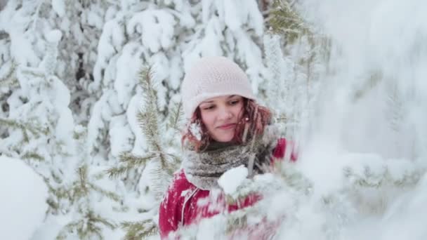 Caminhada de inverno através de uma floresta — Vídeo de Stock