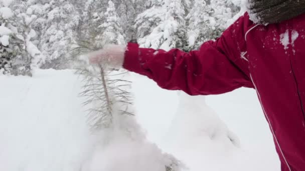 Passeggiata invernale attraverso una foresta — Video Stock