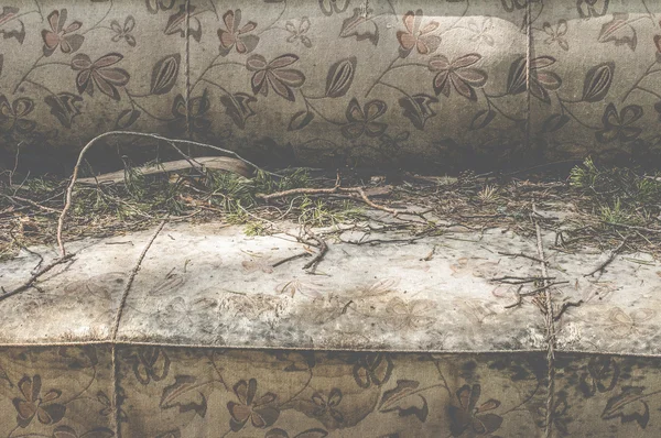 Sofá vintage e agulhas de pinheiro nele — Fotografia de Stock