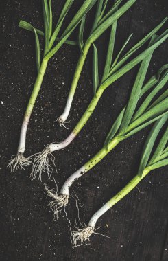 ahşap masa üzerinde taze soğan