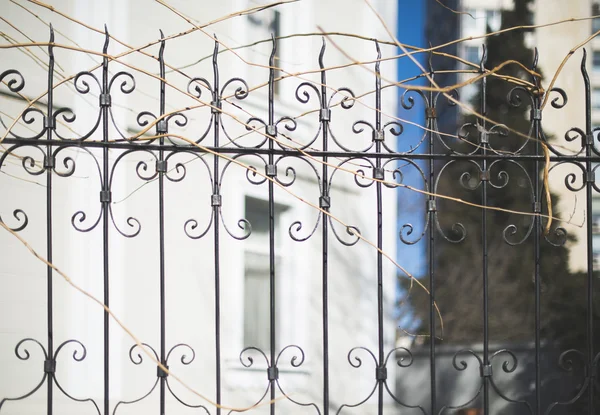 Metal ornamental fence and house — Stock Photo, Image