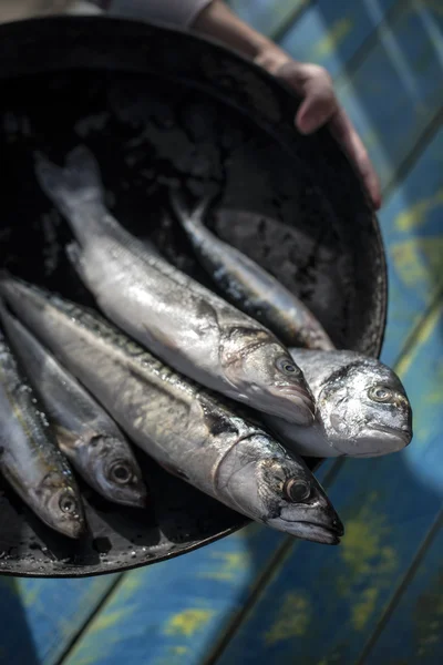 Raw fish in plate — Stock Photo, Image