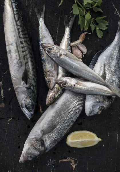 Close up of raw fish — Stock Photo, Image
