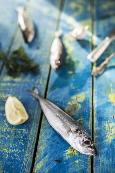 Close up of washed fish — Stock Photo, Image