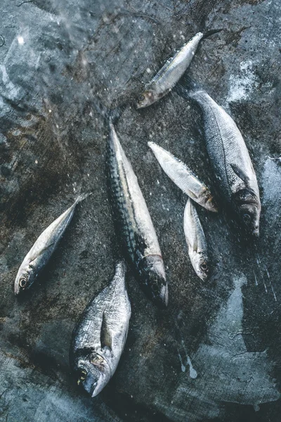 Close up van gewassen vissen — Stockfoto