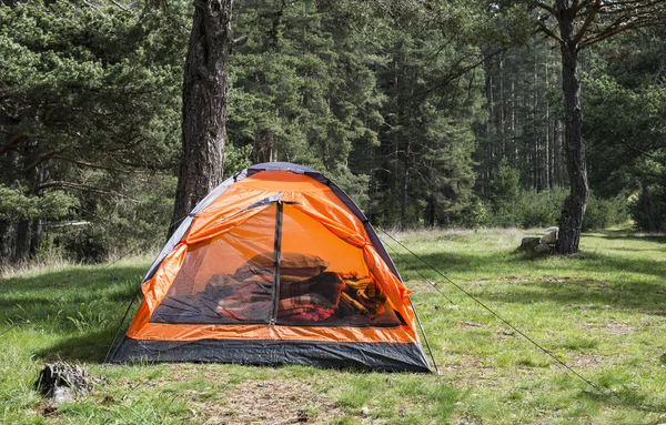 Orange tent in pine forest — Stock Photo, Image