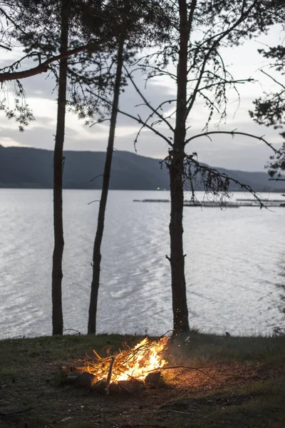 Fuego en la naturaleza cerca del lago —  Fotos de Stock