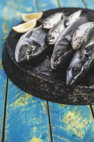 Raw fish. Sea bream, sea bass, mackerel and sardines — Stock Photo, Image