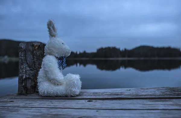 Zabawka puszysty króliczek siedzący na molo — Zdjęcie stockowe