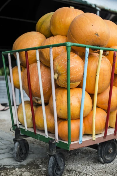 Verse pompoenen op markt — Stockfoto