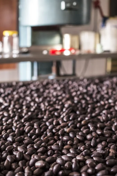 Packaging Olives in factory — Stock Photo, Image