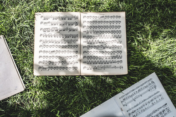 Music book with notes on grass Stock Picture