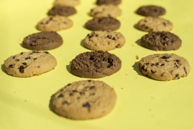 Bisküvi Sarı zemin üzerine 