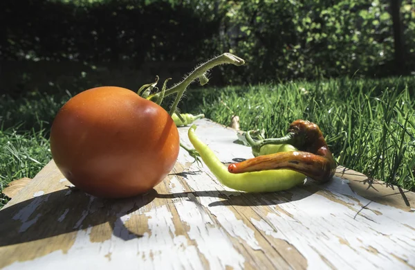 Tomate y pimientos sobre fondo de madera —  Fotos de Stock