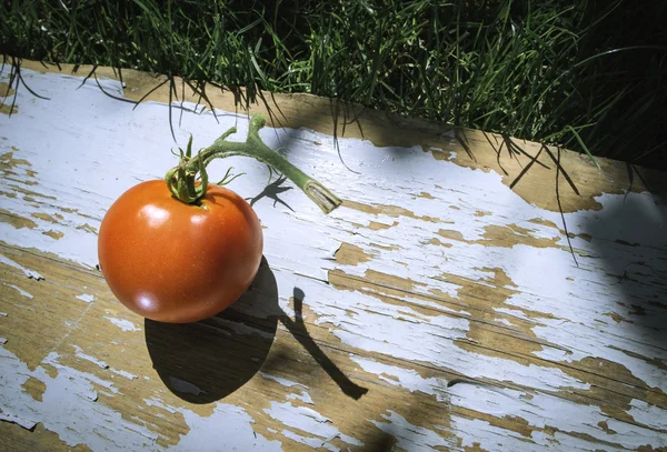 Pomodoro su legno in giardino — Foto Stock
