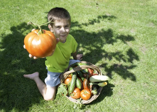 Chico y cesta con vegetabless — Foto de Stock