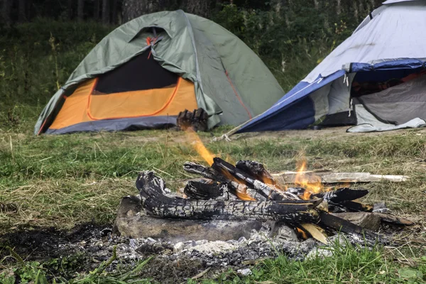 Två tält i skogen — Stockfoto