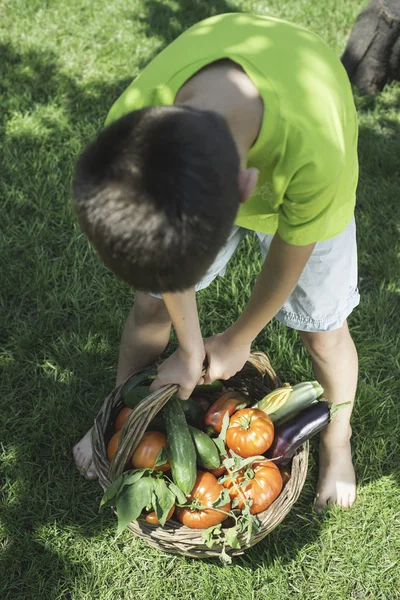 Ragazzo e cesto con vegetariano — Foto Stock