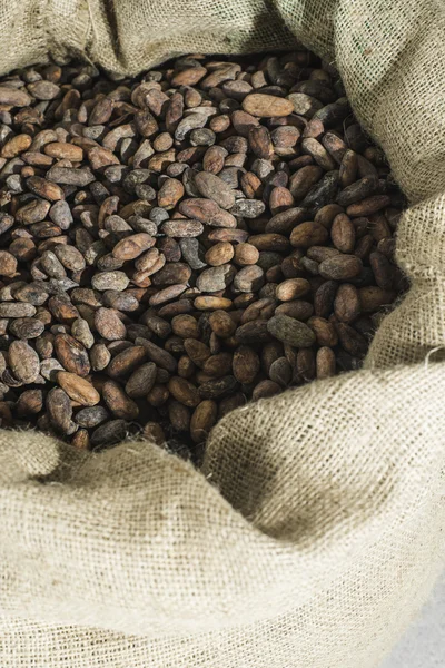 Granos de cacao en bolsa — Foto de Stock